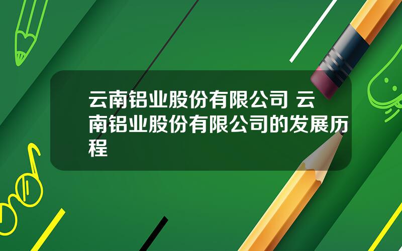 云南铝业股份有限公司 云南铝业股份有限公司的发展历程